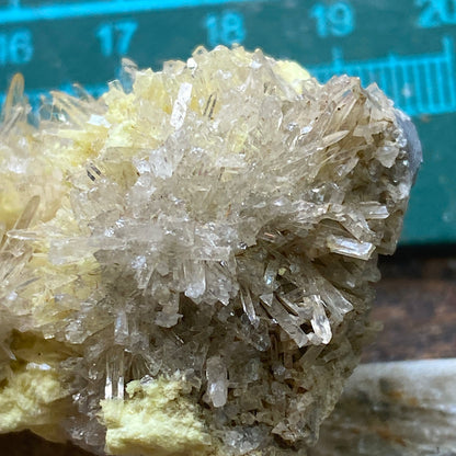 NATIVE SULPHUR WITH CELESTINE : MACHOW MINE, TARNOBRZEG, POLAND 46g MF5195