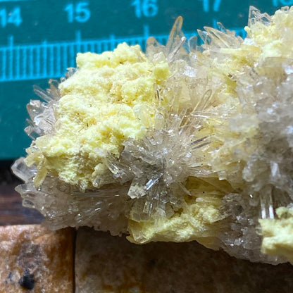 NATIVE SULPHUR WITH CELESTINE : MACHOW MINE, TARNOBRZEG, POLAND 46g MF5195