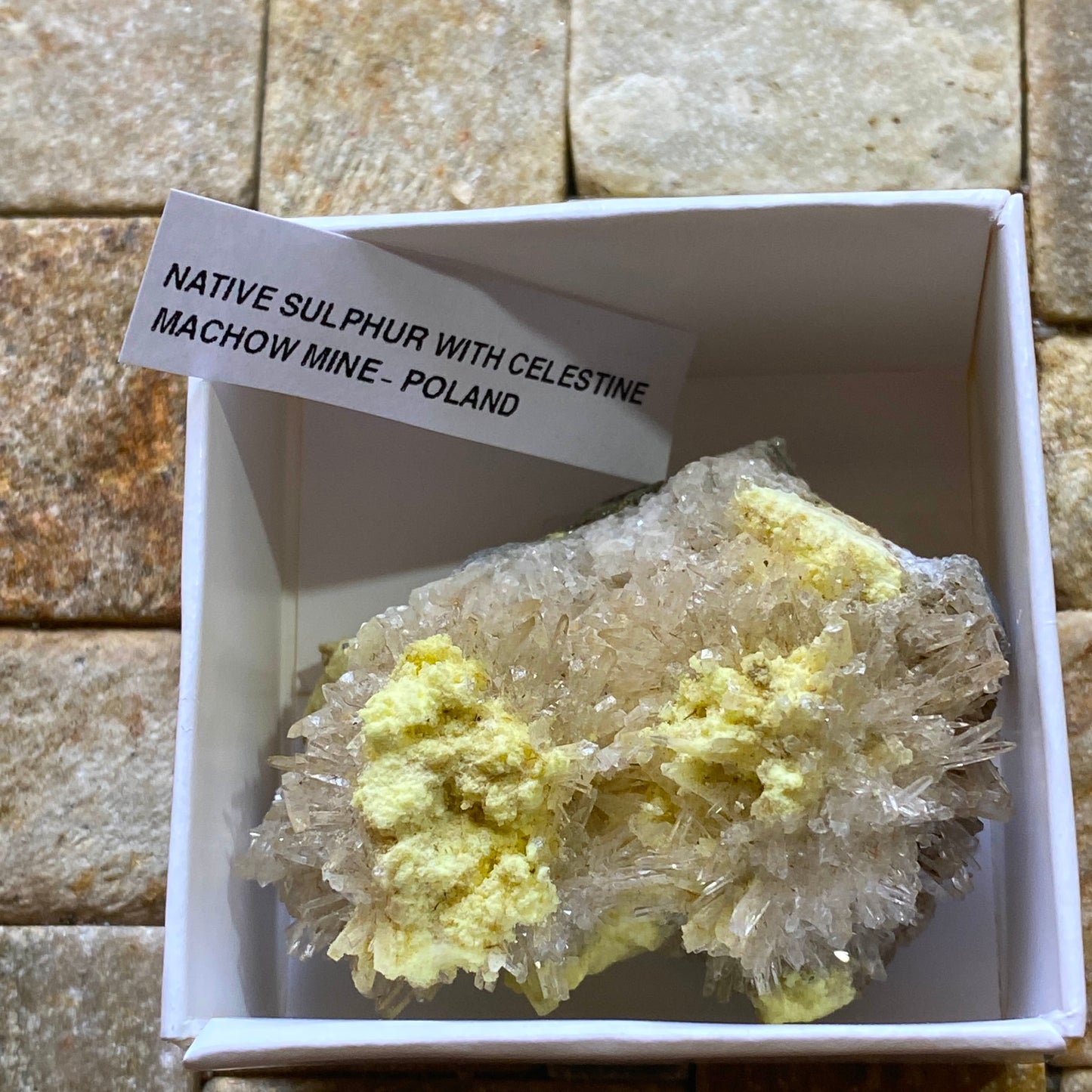 NATIVE SULPHUR WITH CELESTINE : MACHOW MINE, TARNOBRZEG, POLAND 46g MF5195