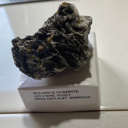 WULFENITE [ETC] ON BARYTE : LES O MINE, DRAA-TAFILALET, MOROCCO. 58g MF5196