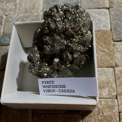 PYRITE : WHITEHORSE DISTRICT, THE YUKON, CANADA 102g MF4555