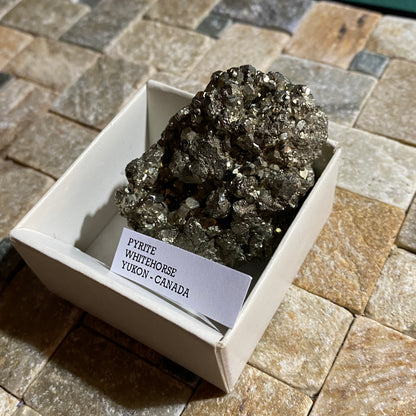 PYRITE : WHITEHORSE DISTRICT, THE YUKON, CANADA 102g MF4555
