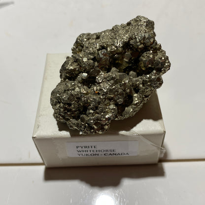 PYRITE : WHITEHORSE DISTRICT, THE YUKON, CANADA 102g MF4555