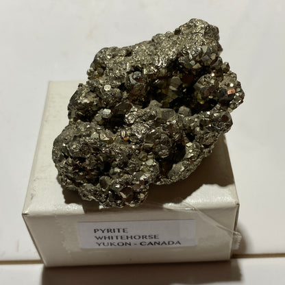 PYRITE : WHITEHORSE DISTRICT, THE YUKON, CANADA 102g MF4555
