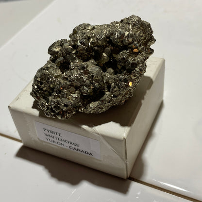 PYRITE : WHITEHORSE DISTRICT, THE YUKON, CANADA 102g MF4555