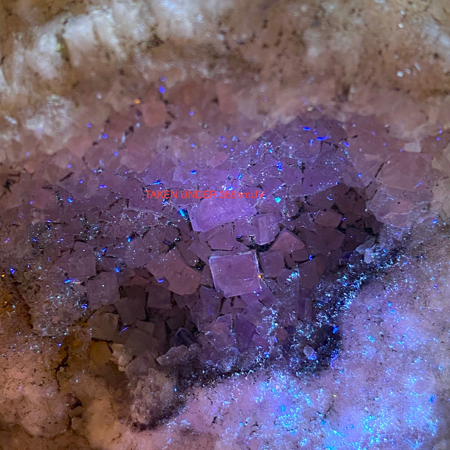 FLUORITE FROM FRAZERS HUSH MINE, CO. DURHAM, ENGLAND. 287g MF2004