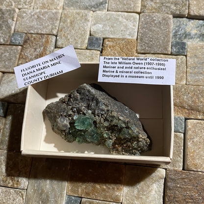 FLUORITE : DIANA MARIA MINE, STANHOPE, COUNTY DURHAM, ENGLAND 59g MF4556