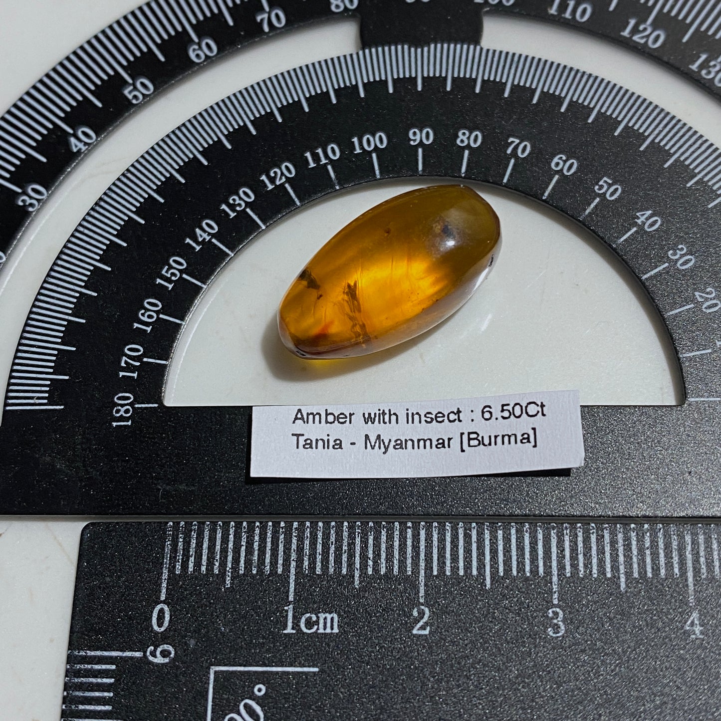 NATURAL AMBER WITH INSECT INCLUSIONS - MYANMAR [BURMA] 6.50Ct MFG5477