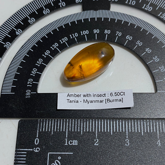 NATURAL AMBER WITH INSECT INCLUSIONS - MYANMAR [BURMA] 6.50Ct MFG5477