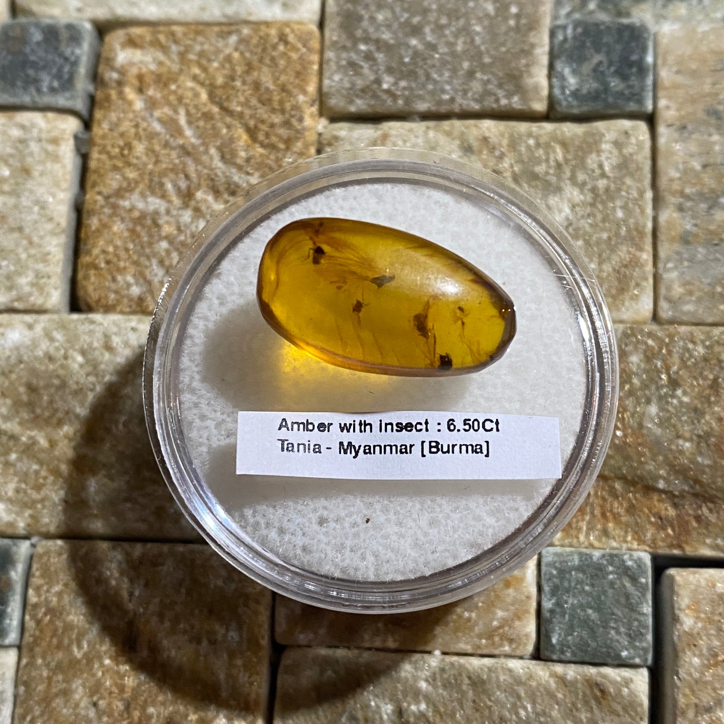 NATURAL AMBER WITH INSECT INCLUSIONS - MYANMAR [BURMA] 6.50Ct MFG5477