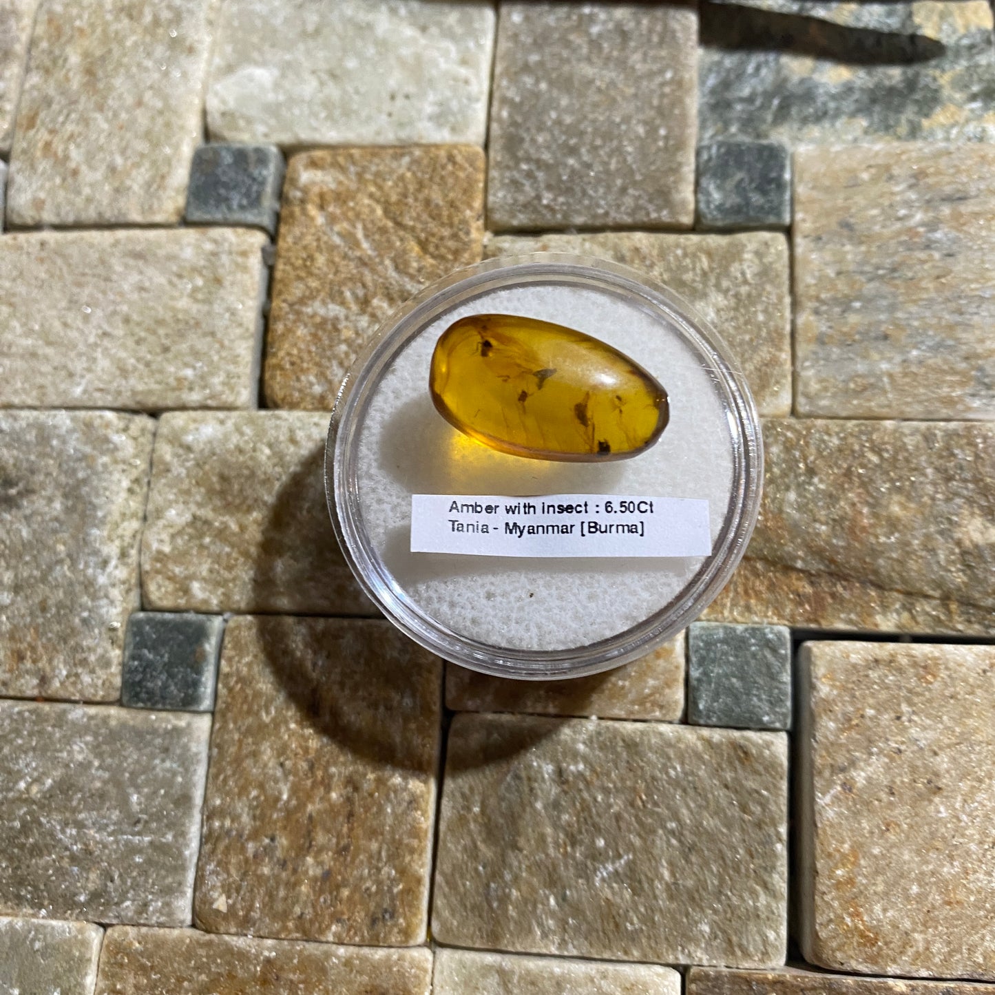 NATURAL AMBER WITH INSECT INCLUSIONS - MYANMAR [BURMA] 6.50Ct MFG5477