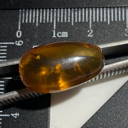 NATURAL AMBER WITH INSECT INCLUSIONS - MYANMAR [BURMA] 6.50Ct MFG5477