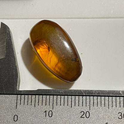 NATURAL AMBER WITH INSECT INCLUSIONS - MYANMAR [BURMA] 6.50Ct MFG5477