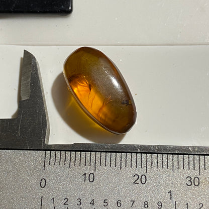 NATURAL AMBER WITH INSECT INCLUSIONS - MYANMAR [BURMA] 6.50Ct MFG5477