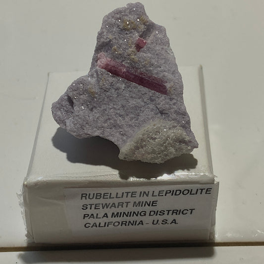 RUBELLITE TOURMALINE IN LEPIDOLITE : STEWART MINE, SAN DIEGO, CALIFORNIA 17g MF5203