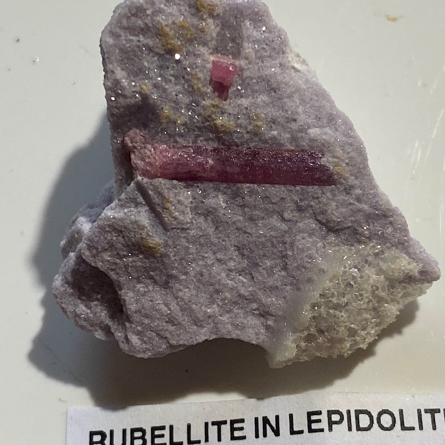RUBELLITE TOURMALINE IN LEPIDOLITE : STEWART MINE, SAN DIEGO, CALIFORNIA 17g MF5203