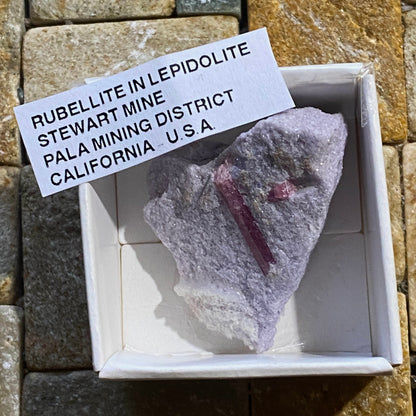 RUBELLITE TOURMALINE IN LEPIDOLITE : STEWART MINE, SAN DIEGO, CALIFORNIA 17g MF5203