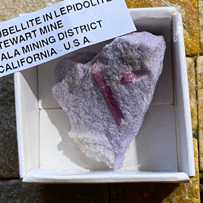 RUBELLITE TOURMALINE IN LEPIDOLITE : STEWART MINE, SAN DIEGO, CALIFORNIA 17g MF5203