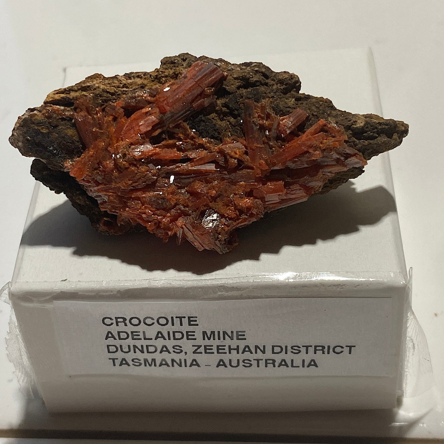 CROCOITE : ADELAIDE MINE, DUNDAS, ZEEHAN, TASMANIA, AUSTRALIA 18g MF5204