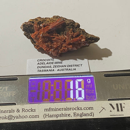 CROCOITE : ADELAIDE MINE, DUNDAS, ZEEHAN, TASMANIA, AUSTRALIA 18g MF5204