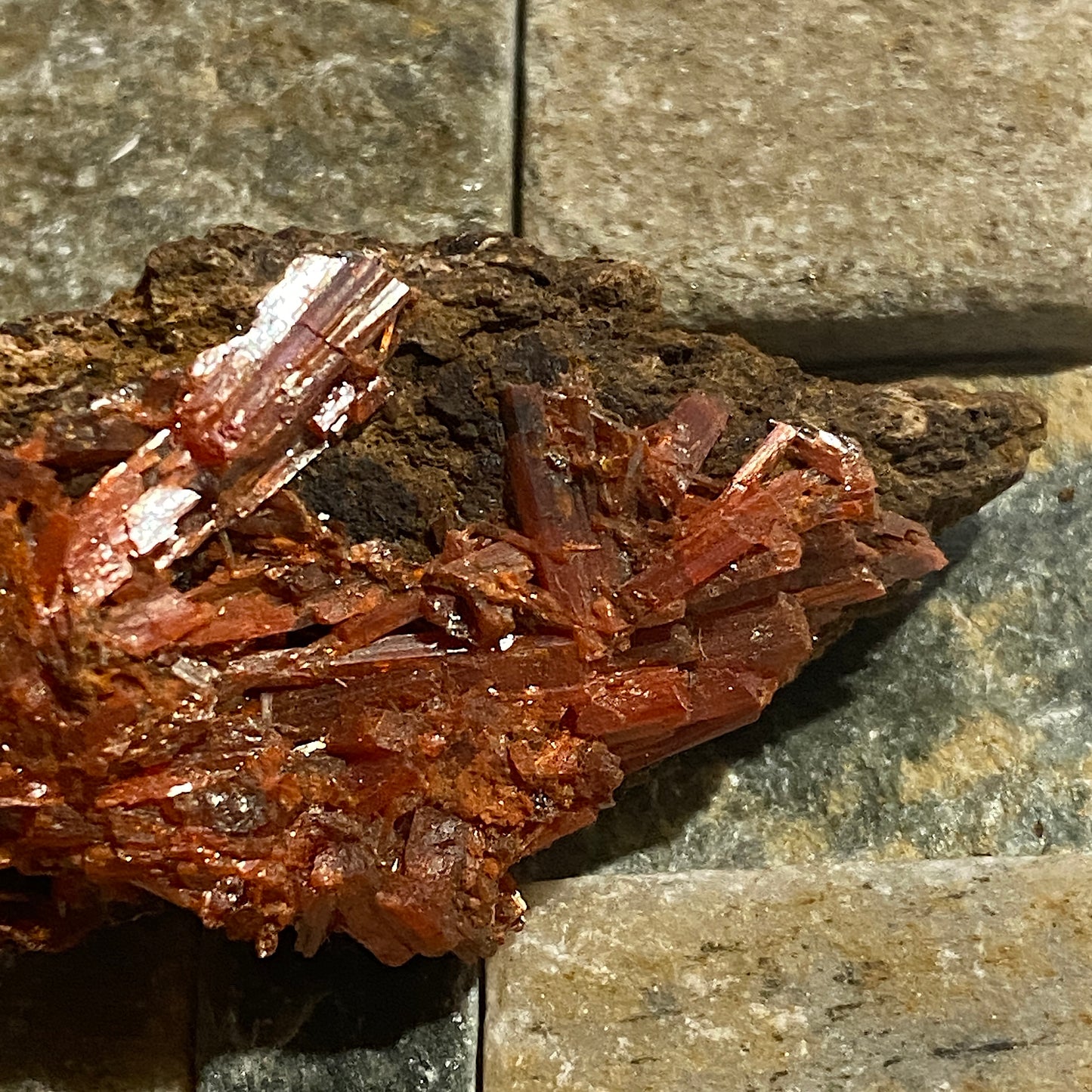 CROCOITE : ADELAIDE MINE, DUNDAS, ZEEHAN, TASMANIA, AUSTRALIA 18g MF5204