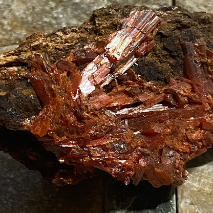 CROCOITE : ADELAIDE MINE, DUNDAS, ZEEHAN, TASMANIA, AUSTRALIA 18g MF5204