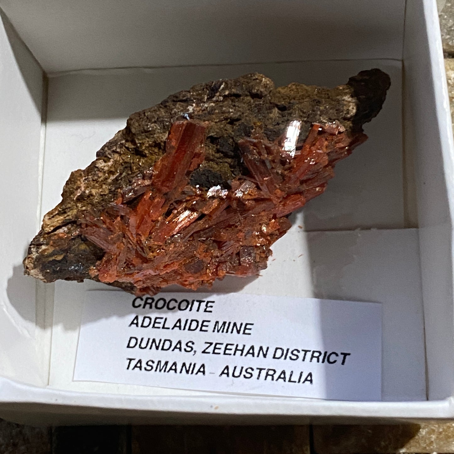 CROCOITE : ADELAIDE MINE, DUNDAS, ZEEHAN, TASMANIA, AUSTRALIA 18g MF5204
