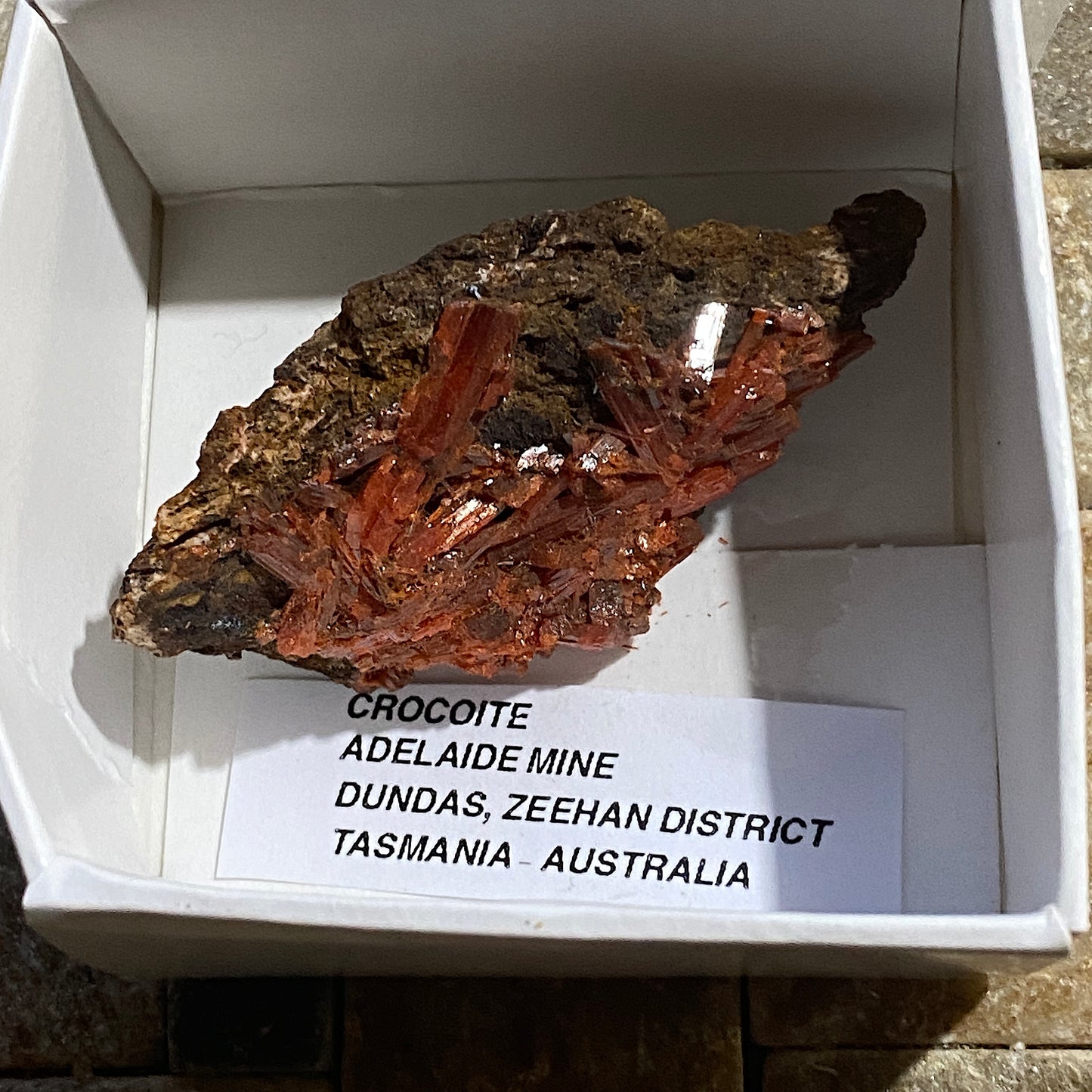 CROCOITE : ADELAIDE MINE, DUNDAS, ZEEHAN, TASMANIA, AUSTRALIA 18g MF5204