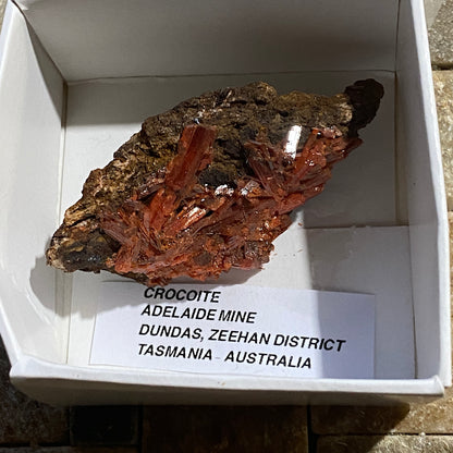 CROCOITE : ADELAIDE MINE, DUNDAS, ZEEHAN, TASMANIA, AUSTRALIA 18g MF5204