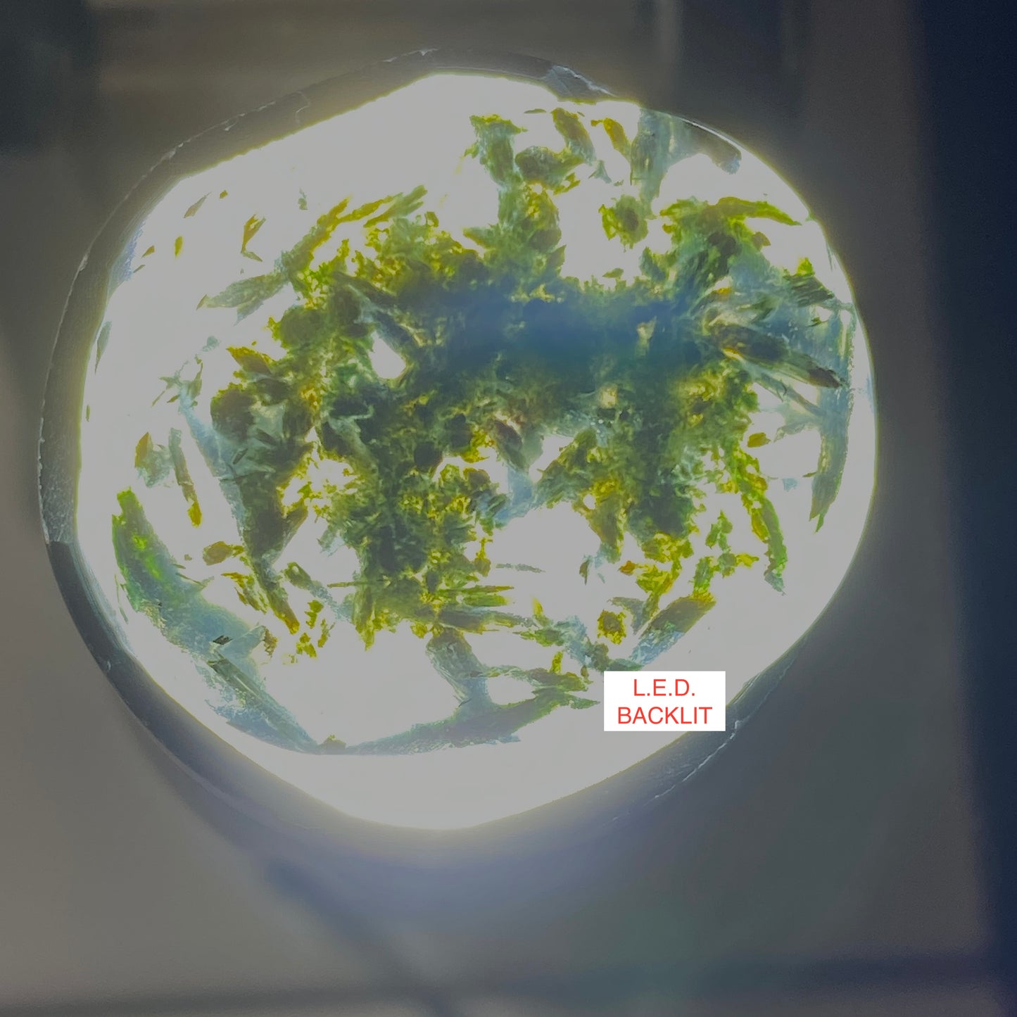 PREHNITE GEMSTONE WITH LANDSCAPE INCLUSIONS - KAYES REGION, MALI, AFRICA LARGE 53.53Ct MFG5358