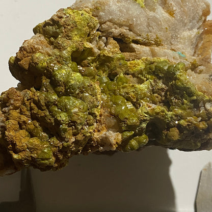 CAMPYLITE : LARGE SPECIMEN FROM DRY GILL MINE, CALDBECK, CUMBRIA. 366g MF5206