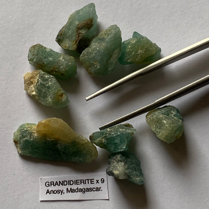 GRANDIDIERITE RARE ROUGH GEMSTONES X 9 - VOHIBOLA, ANOSY, MADAGASCAR 59Ct MFG5360