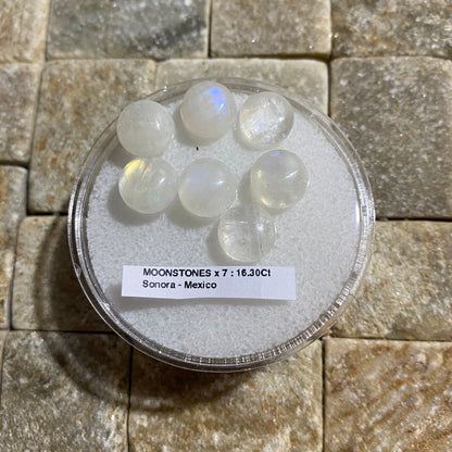 MOONSTONE [ ORTHOCLASE]  GEMSTONES x 7 : SONORA, MEXICO. 16.30Ct MFG5483