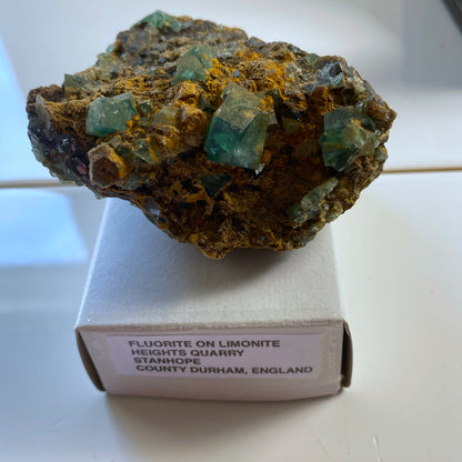 FLUORITE ON LIMONITE, HEIGHTS QUARRY, STANHOPE, CO DURHAM, ENGLAND 180g MF2017