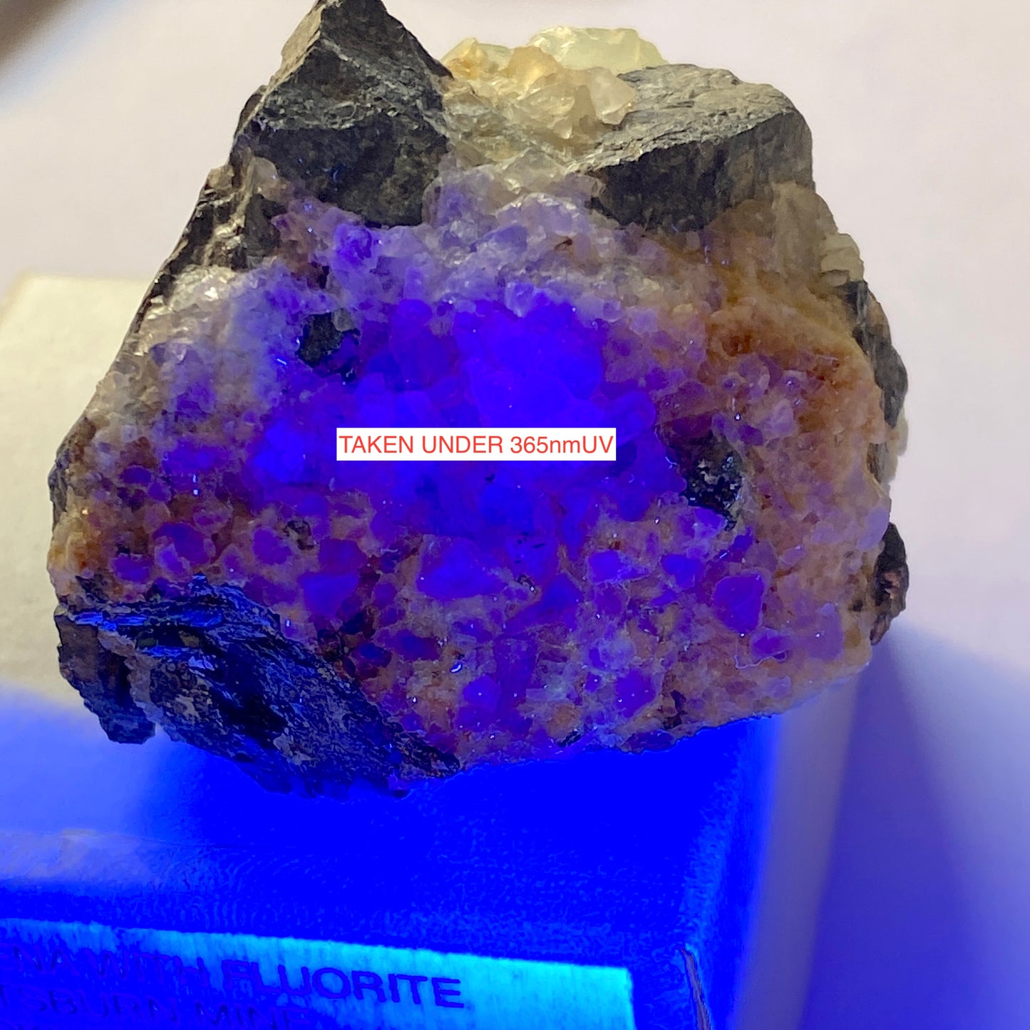 GALENA WITH FLUORITE - BOLTSBURN MINE, CO DURHAM, ENGAND. 167g. MF4207