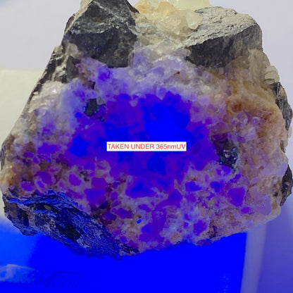 GALENA WITH FLUORITE - BOLTSBURN MINE, CO DURHAM, ENGAND. 167g. MF4207