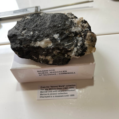 RARE MAGNETITE FROM WHEAL MAGDALEN, PONSANOOTH, ST GLUVIAS, CORNWALL 121g MF5212