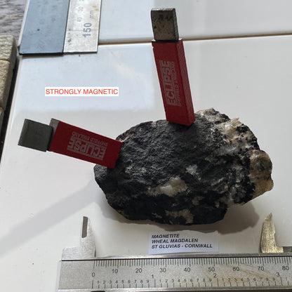 RARE MAGNETITE FROM WHEAL MAGDALEN, PONSANOOTH, ST GLUVIAS, CORNWALL 121g MF5212