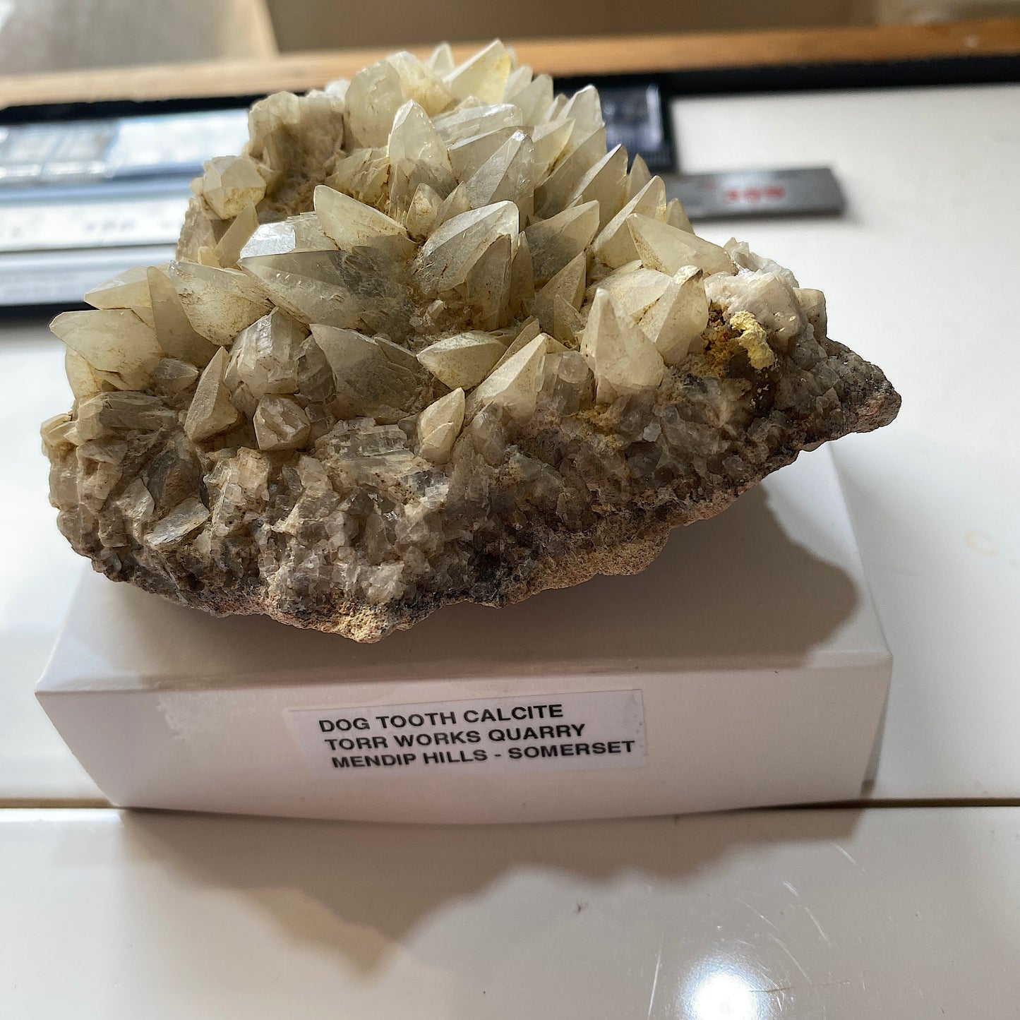 "DOG-TOOTH" CALCITE : TORR WORKS QUARRY, CRANMORE, MENDIP HILLS, SOMERSET 350g MF5213