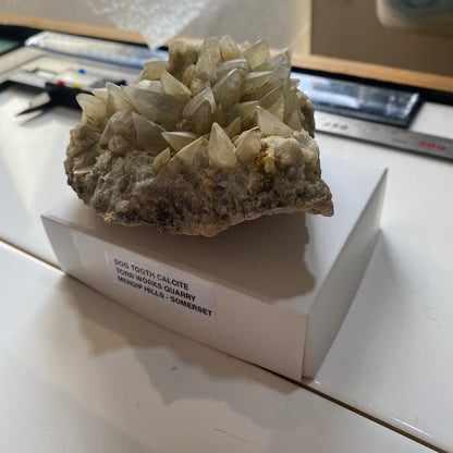 "DOG-TOOTH" CALCITE : TORR WORKS QUARRY, CRANMORE, MENDIP HILLS, SOMERSET 350g MF5213