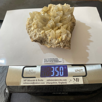 "DOG-TOOTH" CALCITE : TORR WORKS QUARRY, CRANMORE, MENDIP HILLS, SOMERSET 350g MF5213