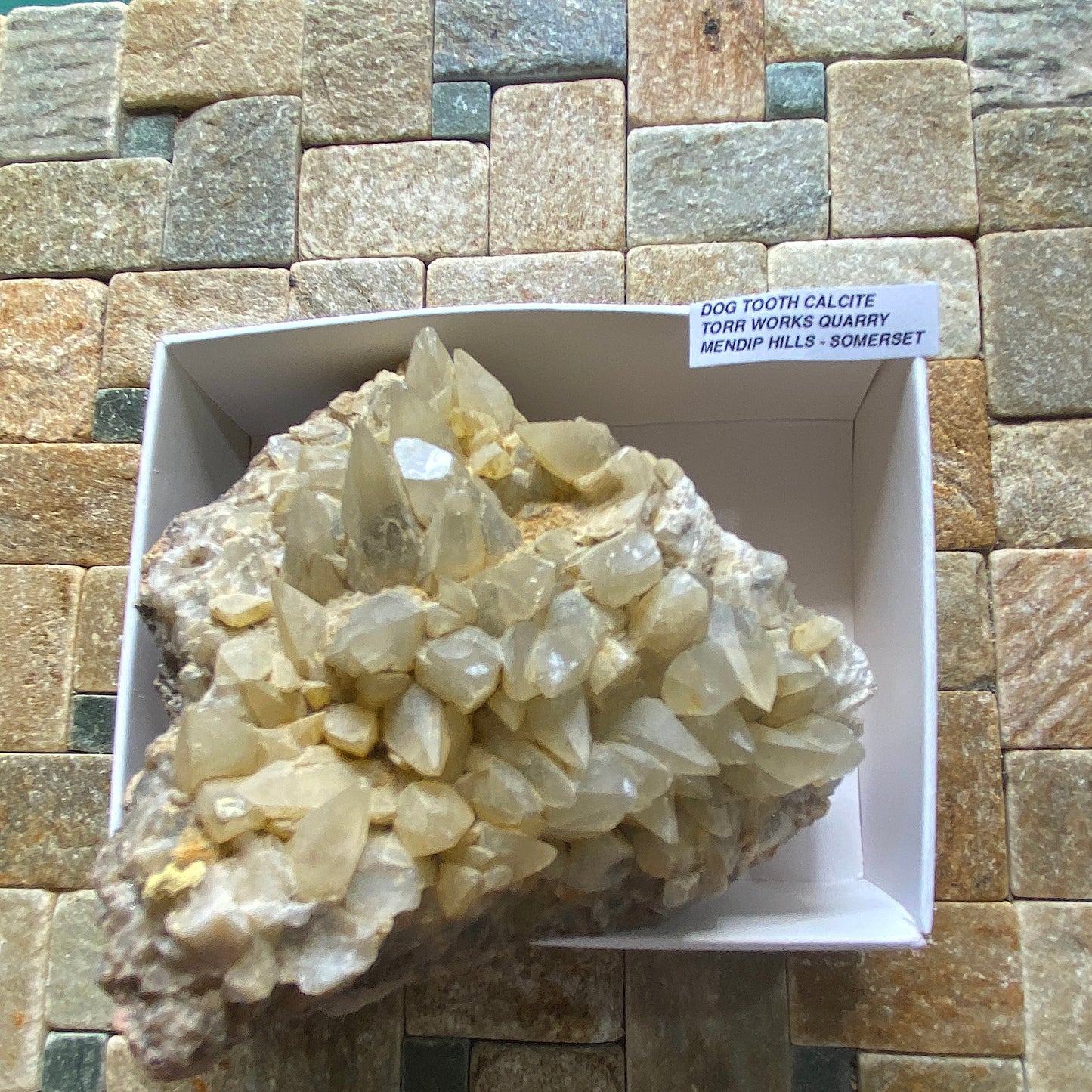 "DOG-TOOTH" CALCITE : TORR WORKS QUARRY, CRANMORE, MENDIP HILLS, SOMERSET 350g MF5213