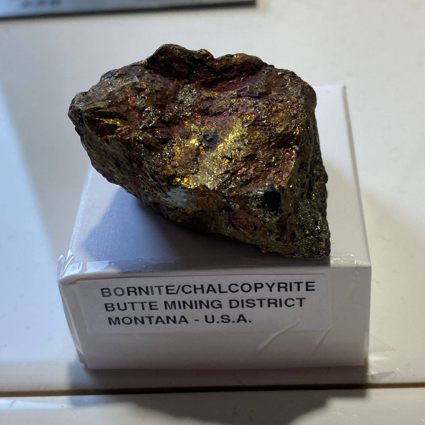 BORNITE/CHALCOPYRITE : BUTTE MINING DISTRICT, MONTANA, U.S.A. 75g MF5214