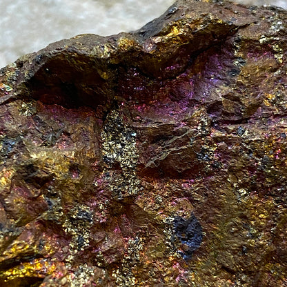 BORNITE/CHALCOPYRITE : BUTTE MINING DISTRICT, MONTANA, U.S.A. 75g MF5214