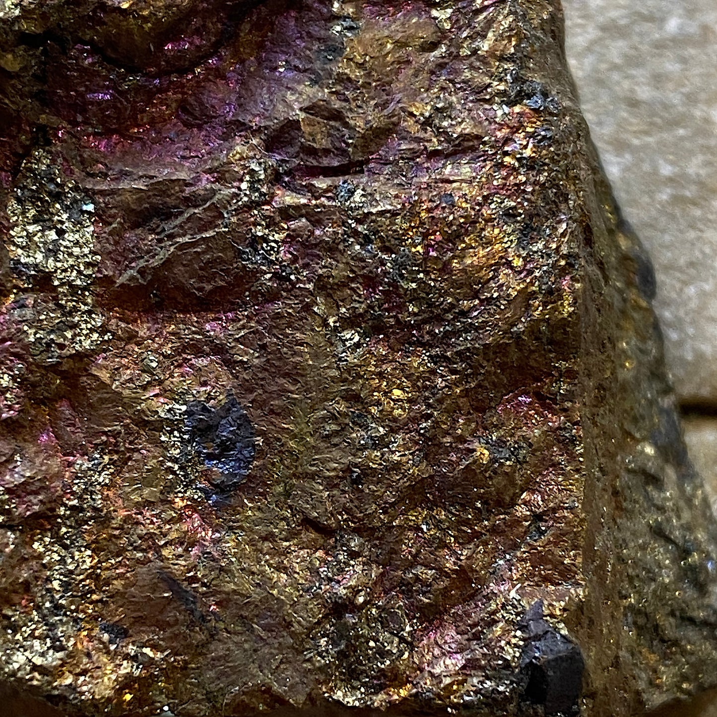 BORNITE/CHALCOPYRITE : BUTTE MINING DISTRICT, MONTANA, U.S.A. 75g MF5214
