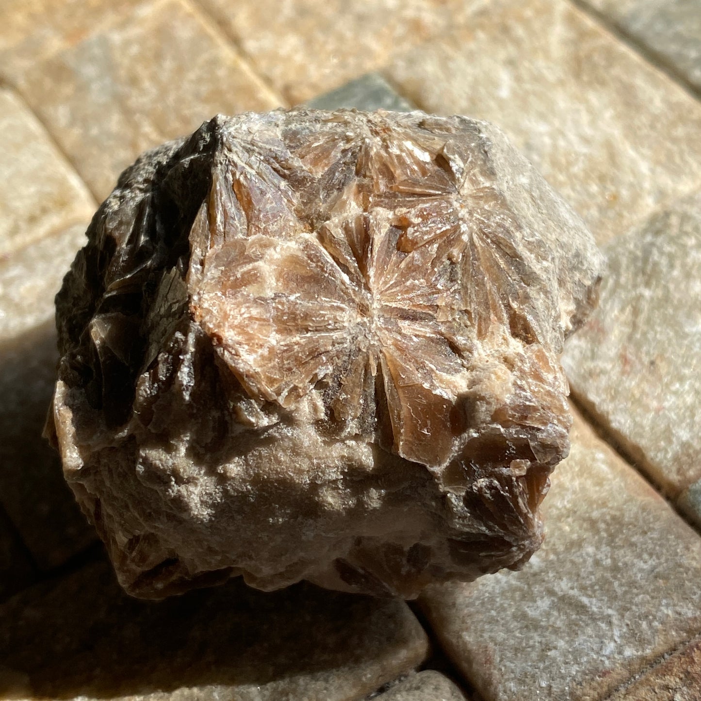 DAISY BED GYPSUM FROM BIRKS HEAD MINE, CUMBRIA. 50g MF2018