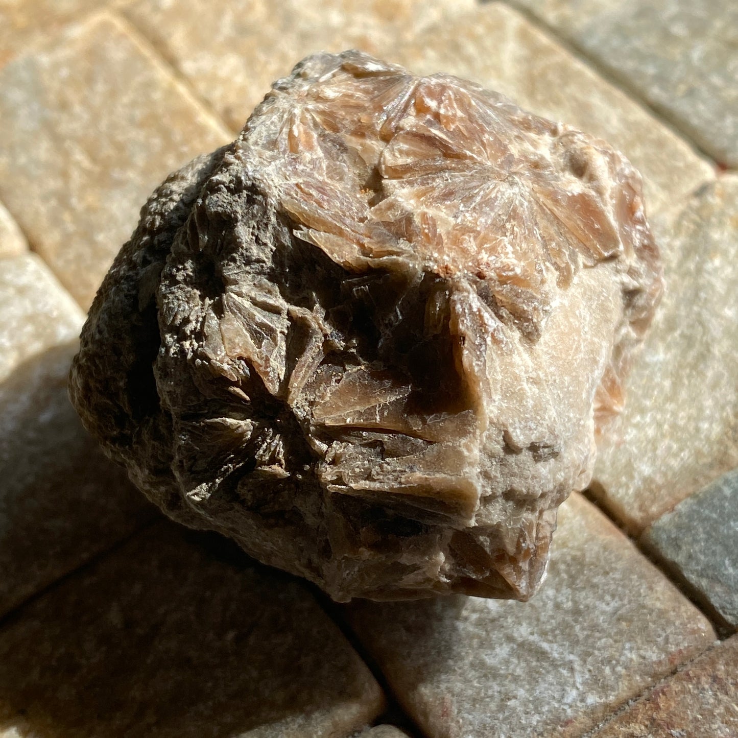 DAISY BED GYPSUM FROM BIRKS HEAD MINE, CUMBRIA. 50g MF2018