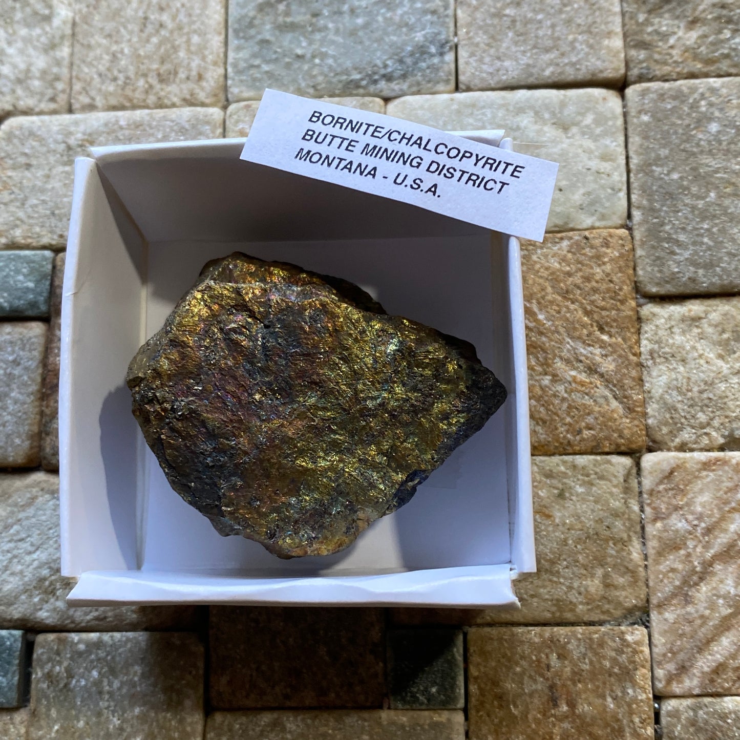 BORNITE/CHALCOPYRITE : BUTTE MINING DISTRICT, MONTANA, U.S.A. 75g MF5214