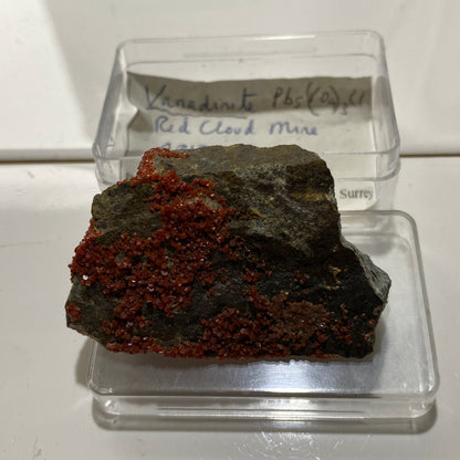 VANADINITE - RED CLOUD MINE, SILVER M.D., LA PAZ COUNTY, ARIZONA, U.S.A. 45g MF4213