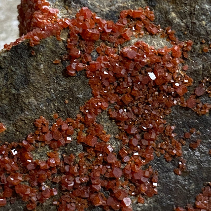 VANADINITE - RED CLOUD MINE, SILVER M.D., LA PAZ COUNTY, ARIZONA, U.S.A. 45g MF4213